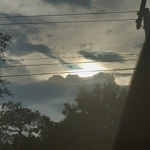 Meet your Posher, Sadie